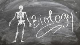 FTCE Biology 6-12 (002) Test Prep